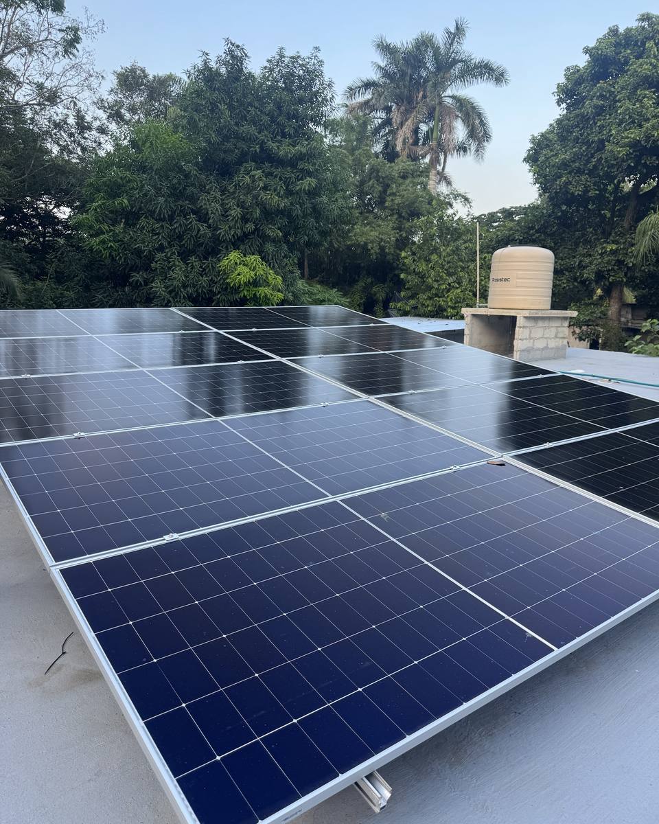 Paneles solares en una azotea rodeada de árboles y palmeras